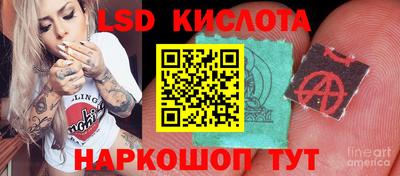 спиды Заводоуковск