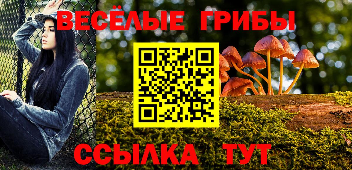 Орёл  купить  цена  Вход с VPN  Галлюциногенные грибы ЛСД 