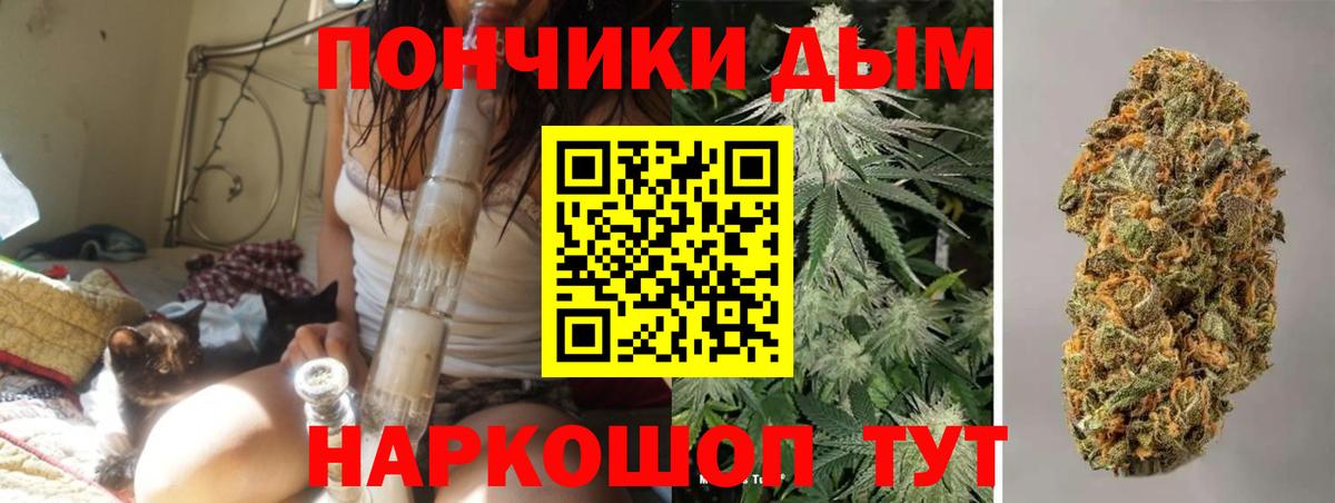 Каннабис конопля Орёл